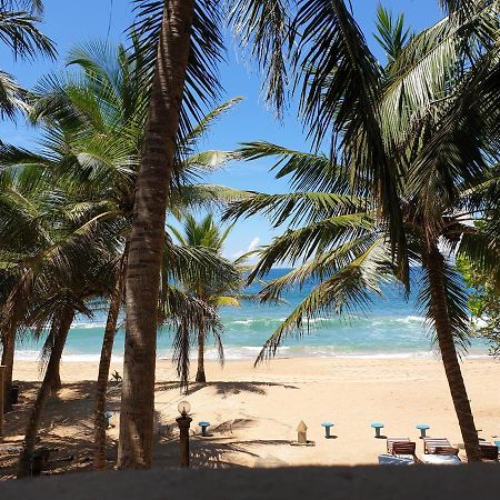 Oasey Ayurveda Hotel Bentota Exteriör bild