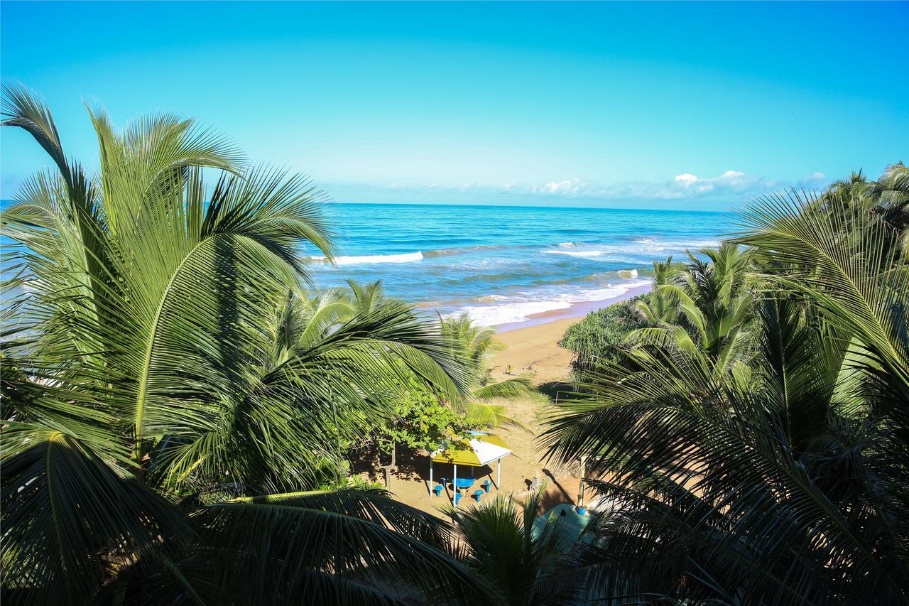Oasey Ayurveda Hotel Bentota Exteriör bild